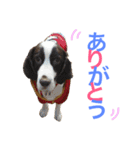 ポッキー＆ロイ（個別スタンプ：1）
