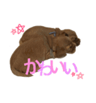 ポッキー＆ロイ（個別スタンプ：11）