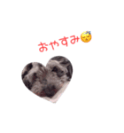 saapoooon（個別スタンプ：7）