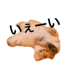 しー太です。②（個別スタンプ：14）