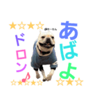 ブチャブとゆかいな仲間達ver.2（個別スタンプ：37）