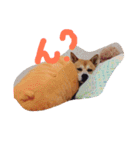 みーぺっと（個別スタンプ：8）