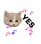 ちーすたんぷ（個別スタンプ：7）