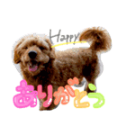 ジョン＆ハッピー（個別スタンプ：4）