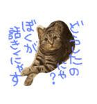 松風＆梅子（個別スタンプ：5）