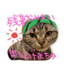 松風＆梅子（個別スタンプ：6）