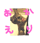 松風＆梅子（個別スタンプ：12）