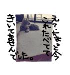 松風＆梅子（個別スタンプ：15）