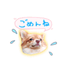 oyakatakobun（個別スタンプ：7）