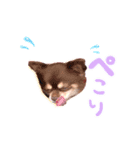 oyakatakobun（個別スタンプ：8）