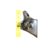 HELLO BOBO（個別スタンプ：4）