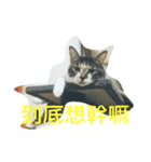 HELLO BOBO（個別スタンプ：12）