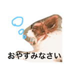 えりさんのスタンプ（個別スタンプ：4）