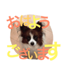 えりさんのスタンプ（個別スタンプ：5）