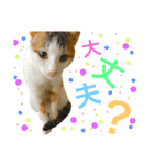 おかっぱピィ（個別スタンプ：5）