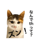 おかっぱピィ（個別スタンプ：28）