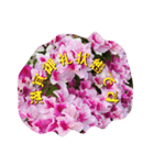 今日のキモチ。花。（個別スタンプ：2）