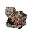 今日のキモチ。花。（個別スタンプ：4）