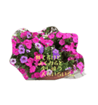 今日のキモチ。花。（個別スタンプ：7）