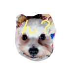 プリンさんの日常（個別スタンプ：2）