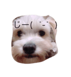 プリンさんの日常（個別スタンプ：3）