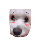 プリンさんの日常（個別スタンプ：4）