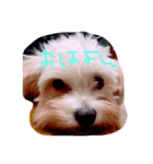 プリンさんの日常（個別スタンプ：7）