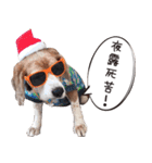 福島アダプトネットワーク看板犬ちくわ（個別スタンプ：28）