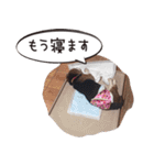 福島アダプトネットワーク看板犬ちくわ（個別スタンプ：32）