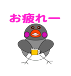 ぶさいく文鳥（個別スタンプ：3）