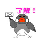 ぶさいく文鳥（個別スタンプ：6）