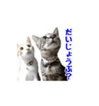 はな、ふう、マコ、マイファミリー（個別スタンプ：24）