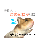 可愛いハムスター2（個別スタンプ：8）