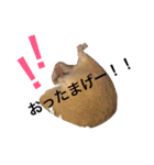 可愛いハムスター2（個別スタンプ：15）