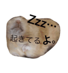 可愛いすぎるハムスター♡（個別スタンプ：5）