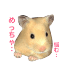 可愛いすぎるハムスター♡（個別スタンプ：8）
