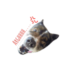 MhooG'dog（個別スタンプ：5）