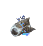 MhooG'dog（個別スタンプ：6）