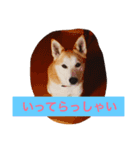わんにゃんあいさつ（個別スタンプ：3）
