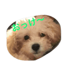 Mahalo73（個別スタンプ：1）