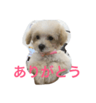 Mahalo73（個別スタンプ：2）