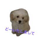 Mahalo73（個別スタンプ：3）