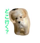 Mahalo73（個別スタンプ：6）