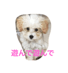 Mahalo73（個別スタンプ：8）