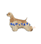 スノーホワイトエンジェル A.コッカー（個別スタンプ：5）