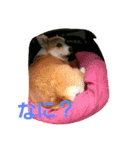 コーギー優奈の日常（個別スタンプ：22）