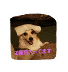 コーギー優奈の日常（個別スタンプ：23）