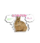 動物たちすたんぴー（個別スタンプ：1）