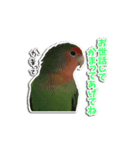 動物たちすたんぴー（個別スタンプ：4）