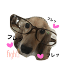 dog s.（個別スタンプ：1）